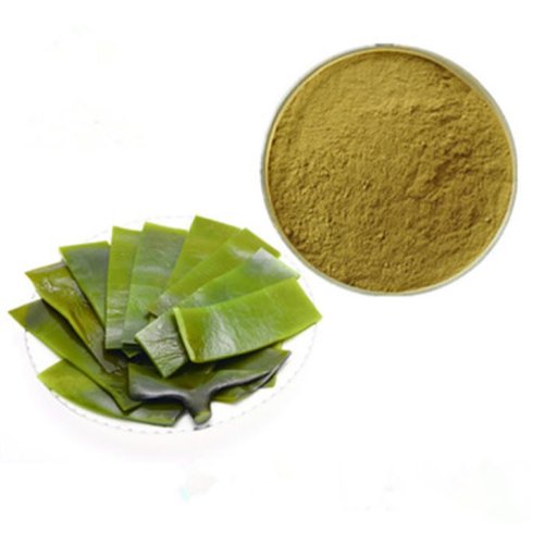 Порошок Ламинария   