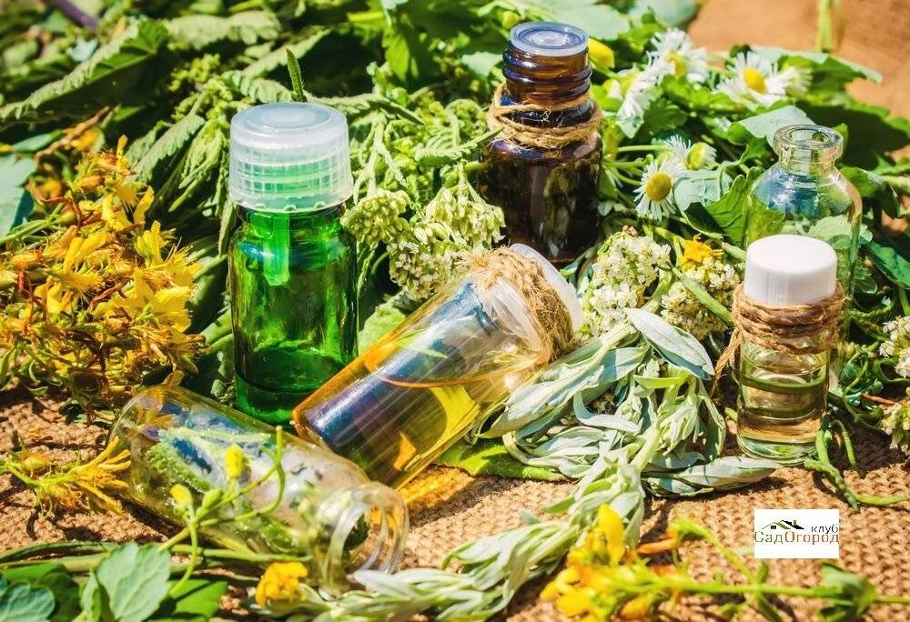 БАНОЧКИ, ФЛАКОНЫ